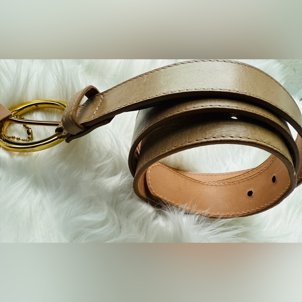 🇨🇦 Brave Leather Collection - Zaltana Nude  Gold Buckle - Picture 3 of 8